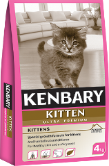 KENBARY KITTEN